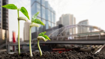 Wir schützen die Umwelt