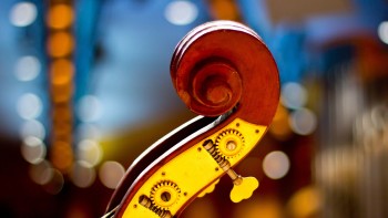 Die Akustik Die Akustik - Strategisches Marketing